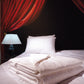Couette Soie Premium